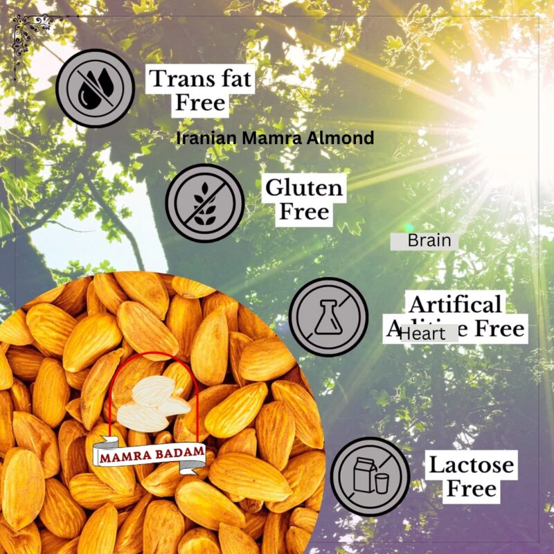 Iranian Mamra Almond