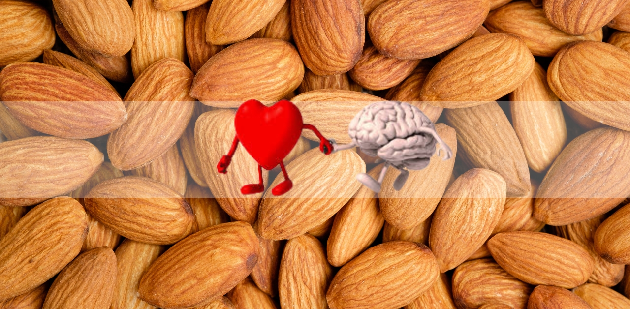 benefits of almonds for brain