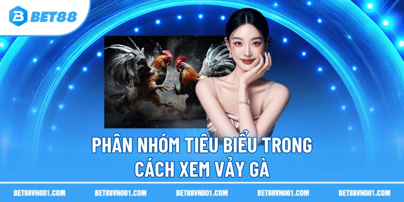Phân nhóm tiêu biểu trong cách xem vảy gà