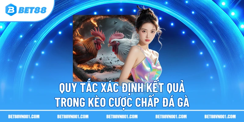 Quy tắc xác định kết quả trong kèo cược chấp đá gà